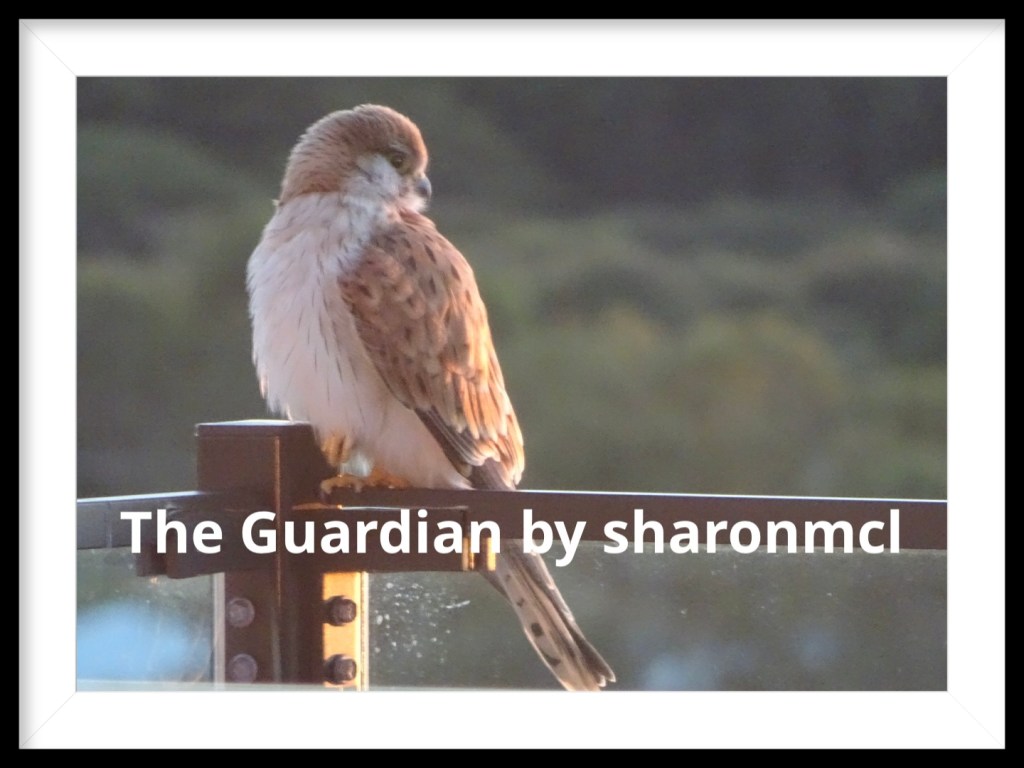 Hello World! We are upgrading&nbsp;again…