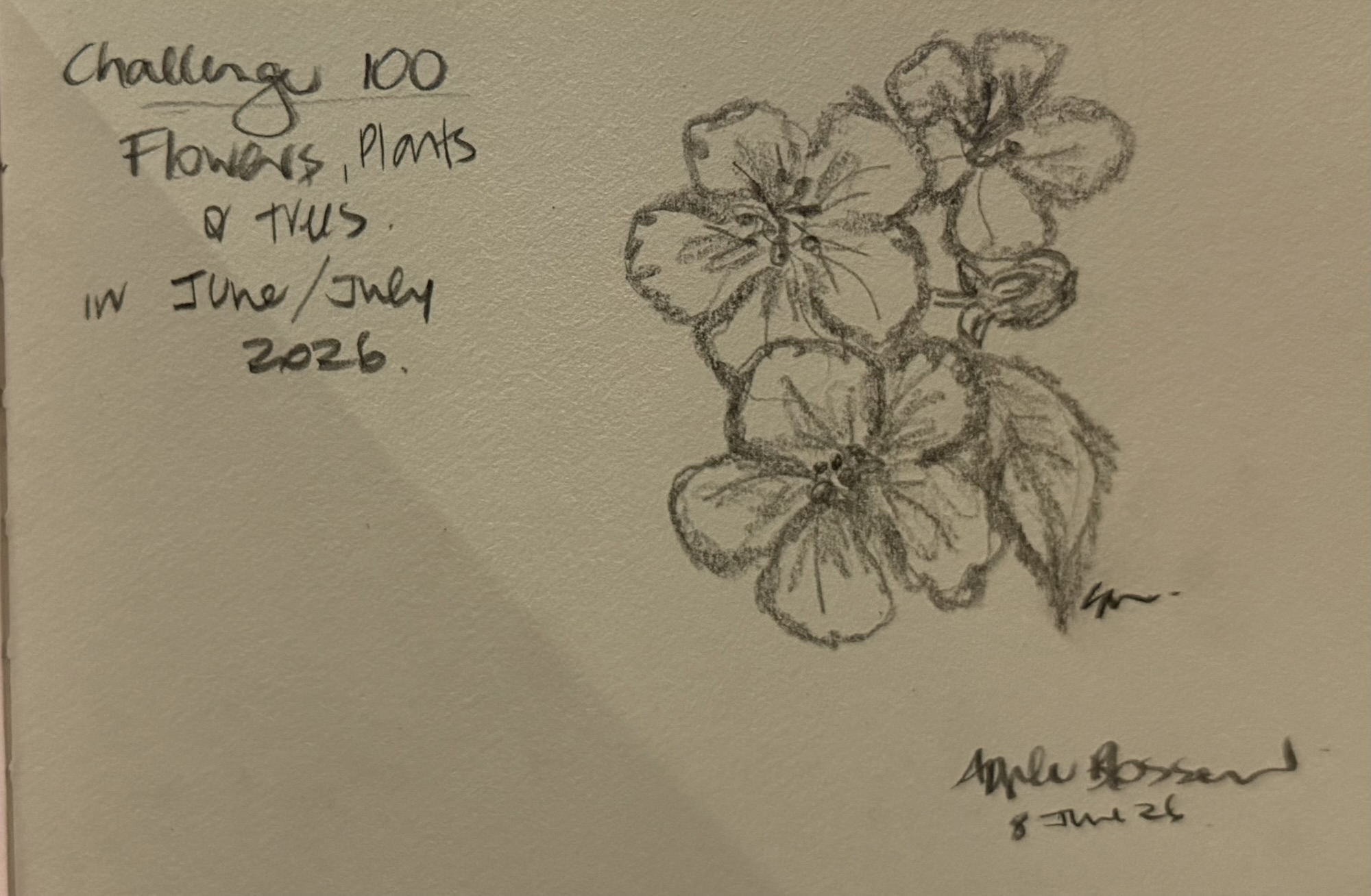Let’s draw 100 again