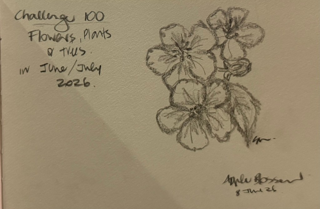 Let’s draw 100 again